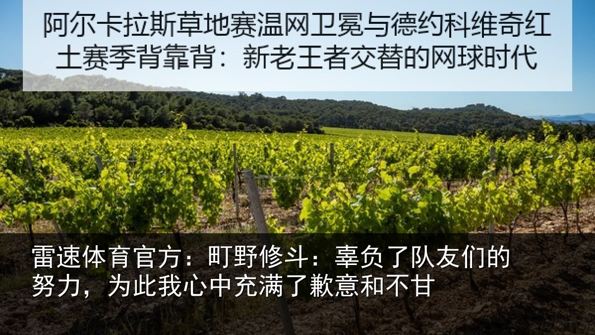 雷速体育官方:町野相关情况的努相关情况了歉意和不甘