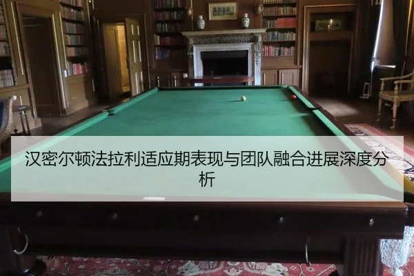 han-mi-er-dun-fa-la-li-shi-ying-qi-biao-xian-yu-tuan-dui-rong-he-jin-zhan-shen-du-fen-xi-3-636.jpg