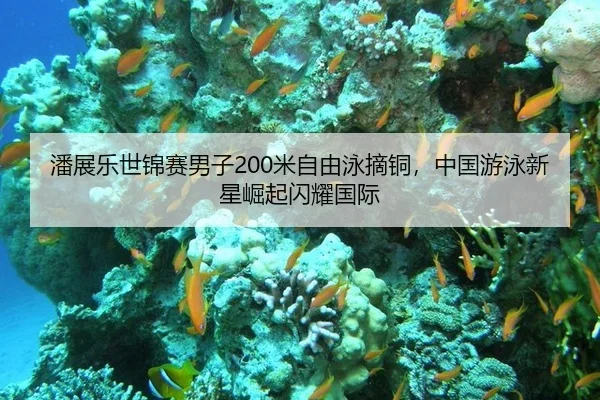 pan-zhan-le-shi-jin-sai-nan-zi-mi-zi-you-yong-zhai-tong-zhong-guo-you-yong-xin-xing-jue-qi-shan-yao-guo-ji-3-519.jpg